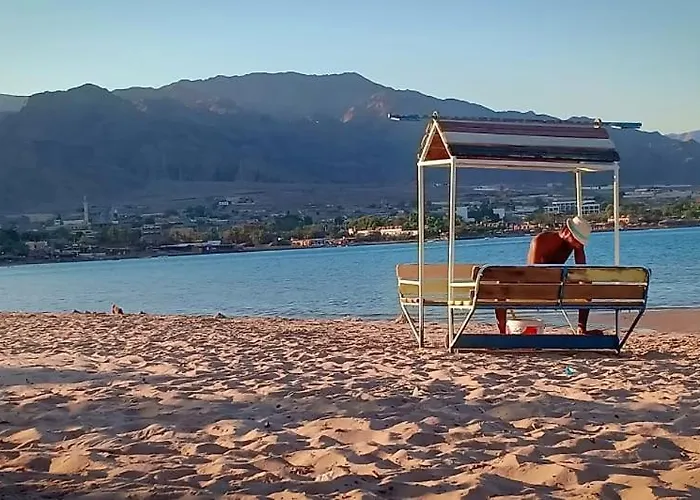 Adam Bay